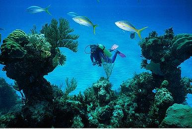 致各位富翁：《大富翁10》在Xbox和Windows商店开启预购啦